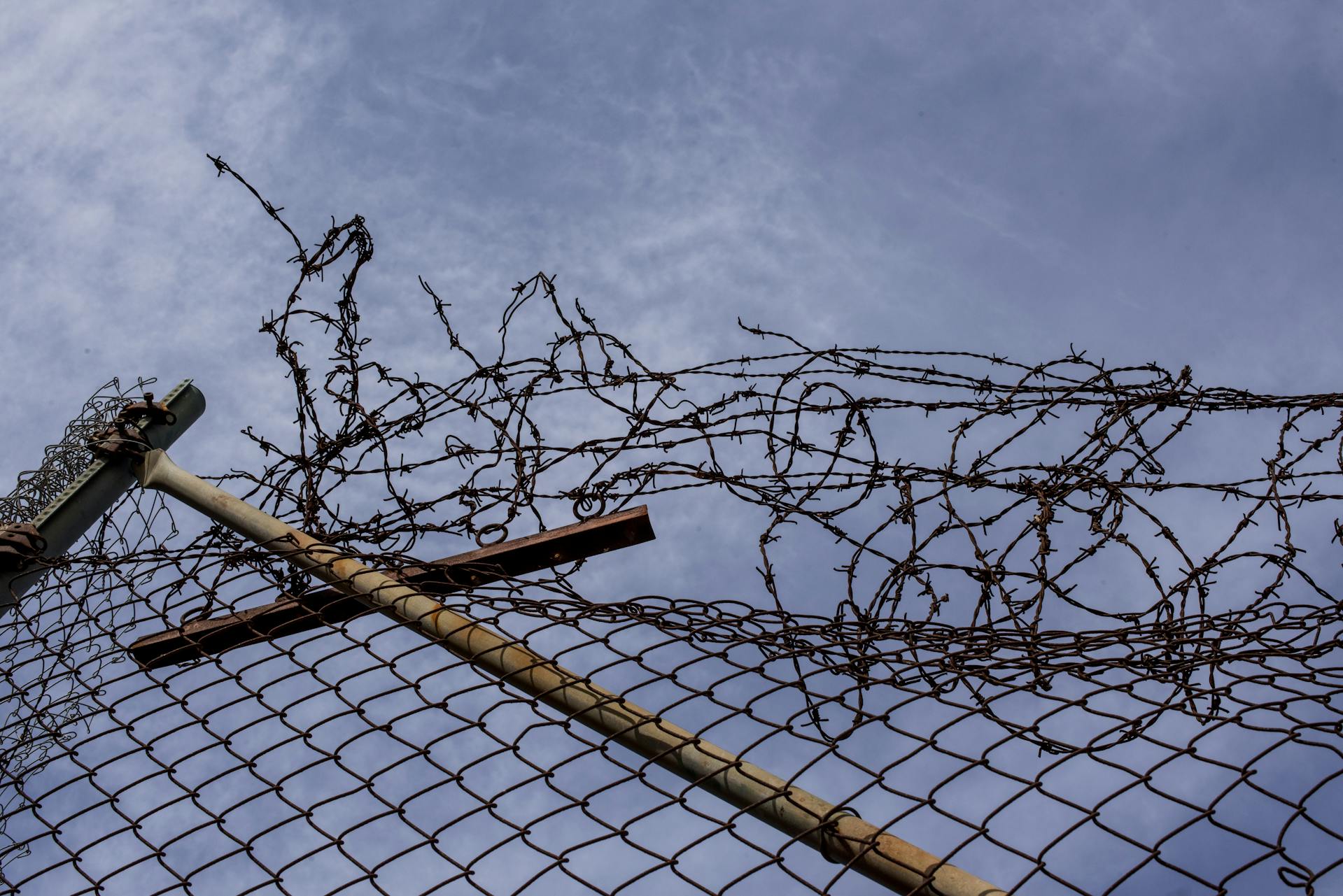 barbed wire image